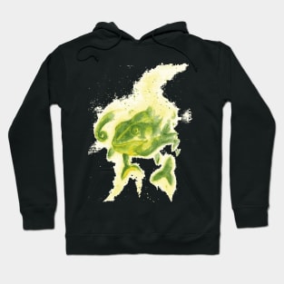 Chameleon Hoodie